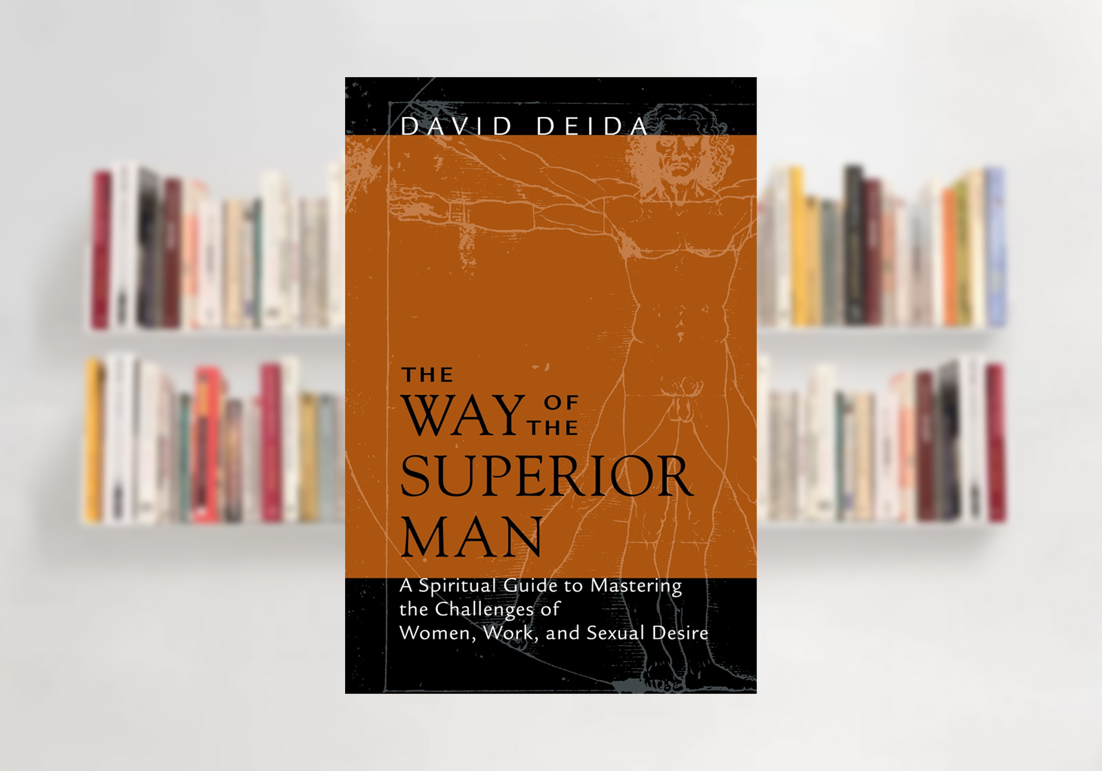 The Way of the Superior Man: A Spiritual Guide to Mastering the Challenges  of Women, Work, and Sexual Desire by David Deida